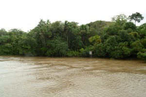Paisagem Amazônica